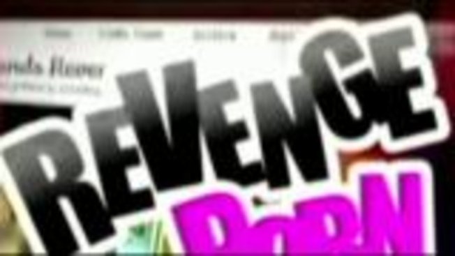 Venganza porno