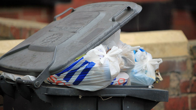 FETO-EN-BOLSA-DE-PATIO-BASURA1