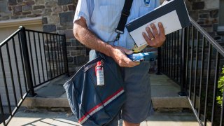 United States Postal Service (USPS) mailman