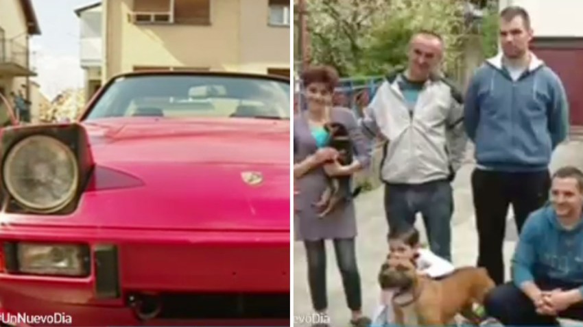 auto-por-perro
