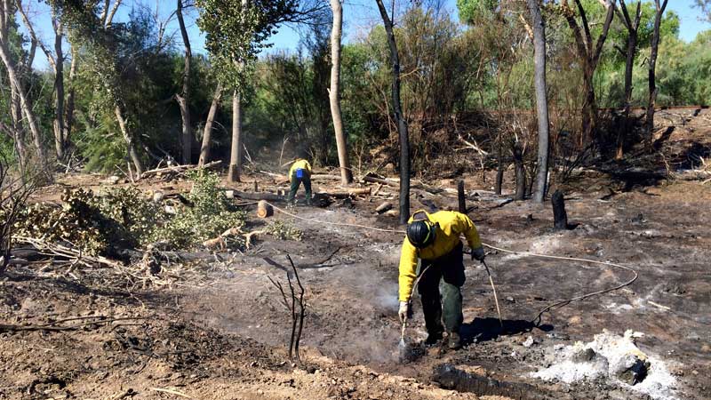 incendio-en-arizona