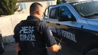 Policía del Estado de Sonora