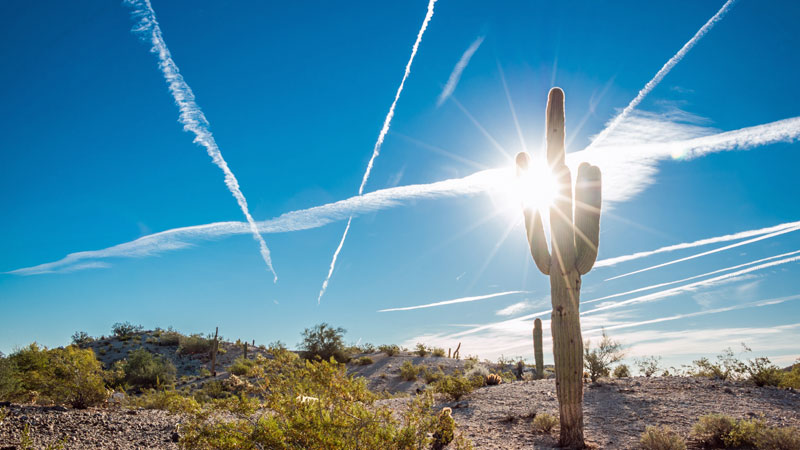ola-de-calor-en-Phoenix-Arizona1