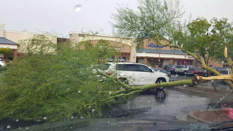 principal-foto-en-arizona