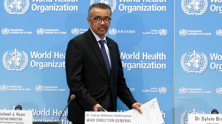 Director de la OMS