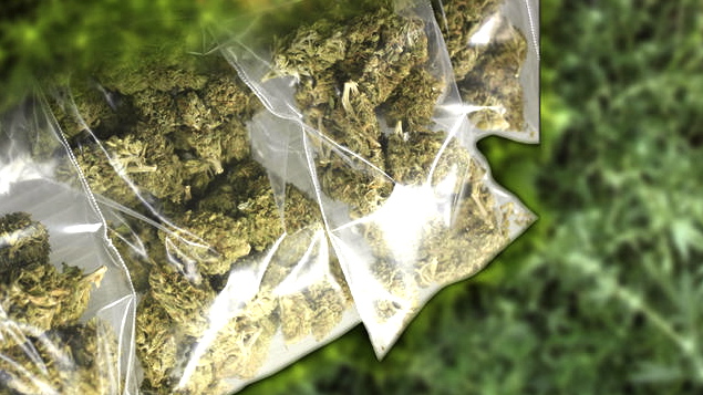 tlmd_04_05marihuana