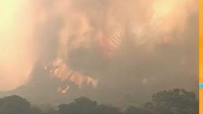 tlmd_incendio_chile_ok