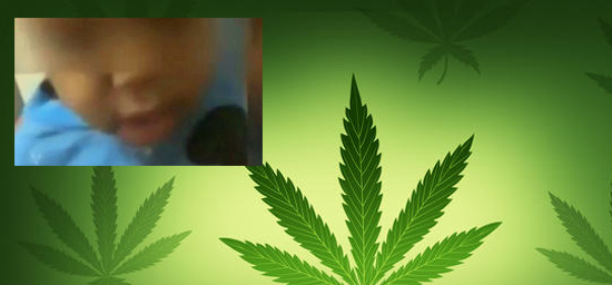 tlmd_marihuana_composite02