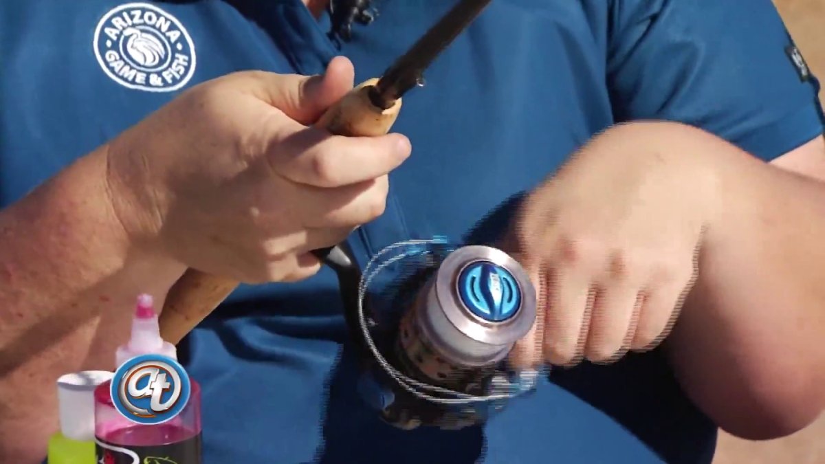 ¿Qué tipos de caña existen para la pesca deportiva? – Telemundo Phoenix ...