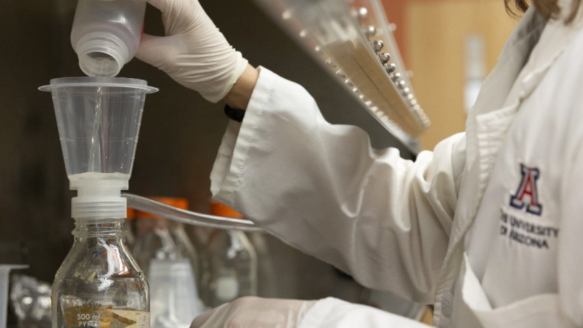 Universidades de Arizona se unen para detectar mutaciones de COVID-19