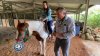 Busca Aventuras: un paseo a caballo en la Hacienda Siesta Alegre