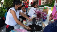 Nucú, la hormiga comestible, inspira una feria gastronómica en el sureste de México