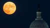 Qué es y cuándo ver la Luna de Cosecha este septiembre