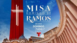 Misa Domingo de Ramos