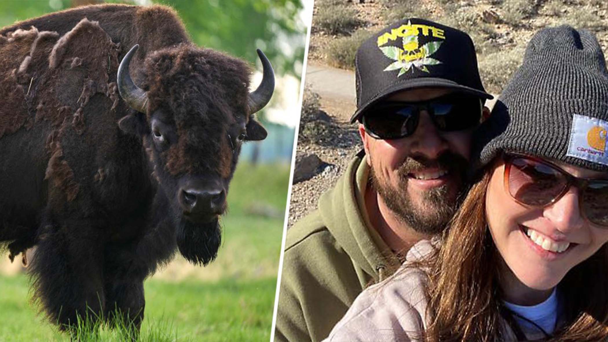 El ingenioso filtro de Instagram de Yellowstone para evitar que los turistas molesten a los bisontes 6 Merca2.es Algo que parece una tontería podría resultar muy peligroso