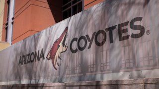 Coyotes de Arizona planea comprar terreno en Mesa para construir un estadio