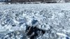 Rescate imposible: grupo de orcas queda atrapado en el hielo frente a costas de Japón