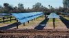Construyen en Arizona un parque solar que combina baterías con energías renovables