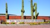 Agresiones sexuales cerca del campus de la Universidad de Arizona ¿Por qué es tan peligroso para las mujeres?