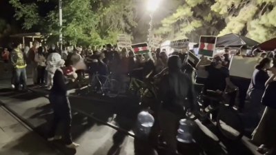 Manifestación en apoyo al pueblo palestino: desalojan a estudiantes de la Universidad de Arizona