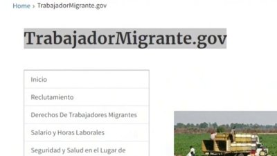 Trabajadores migrantes con estatus irregular tiene derechos laborales