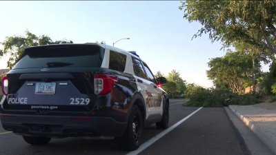 Un hombre es hospitalizado después de estrellar su auto contra un árbol en Peoria