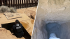 Descubren narcotúnel bajo el muro fronterizo entre Sonora y Arizona