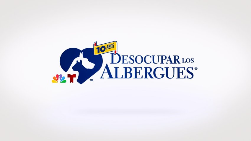 Desocupar Los Albergues logo 10 years