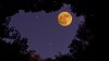 Da inicio el verano con la primera Luna llena conocida como “Strawberry Moon”: conoce de que se trata