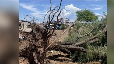 Servicio Meteorológico Nacional confirma tornado en Tucson