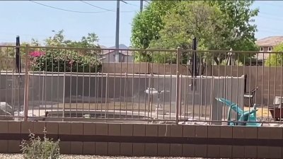 Hospitalizan a niño de 3 años tras ser hallado en una piscina en Phoenix