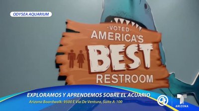 Exploramos Medusas y el baño #1 en America