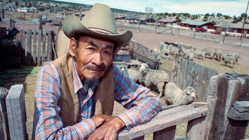 FORT DEFIANCE, ARIZONA –  MARCH 17 : Sheepherder Howard Jumbo, 67 years, tends to his flock of sheep on Navajo Nation lands, March 17, 1989 near Fort Defiance, Arizona. (Photo by Bob Riha, Jr./Getty Images)