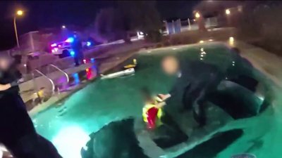 Hablan los oficiales reconocidos por rescatar a un hombre de una piscina en Phoenix