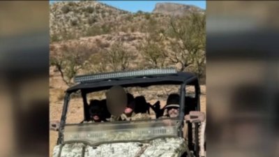 Grupos armados podrían vigilar la frontera de Arizona