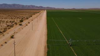 Un campo de alfalfa en una zona rural en Arizona (foto de archivo).