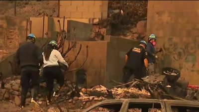 Bomberos de Arizona ayudan en Los Ángeles