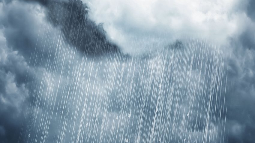 Rain heavy rain at a park rain in the forest rain in the woods heavy rain in the forest woods