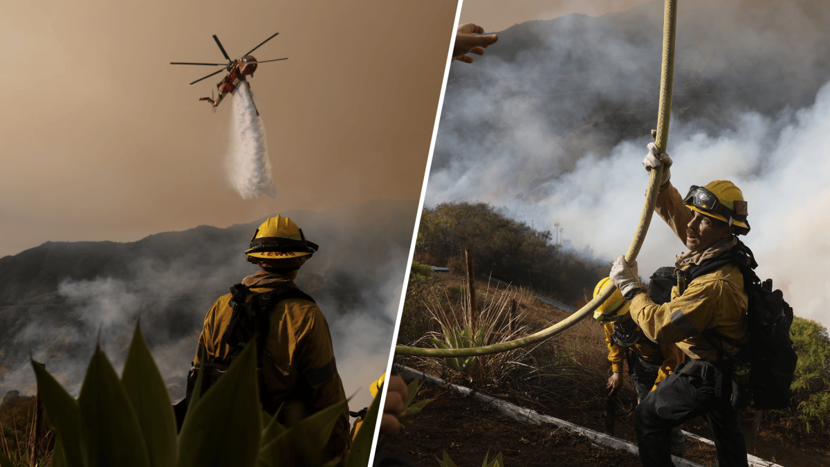 Cómo ayudar desde Arizona a los damnificados por los incendios ...
