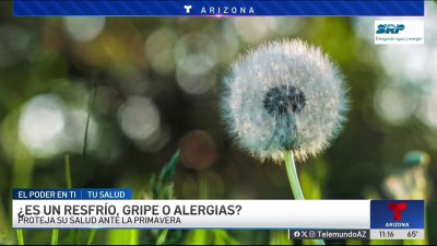 ¿Respiro, gripe o alergias? Los síntomas durante la temporada de primavera en el Valle