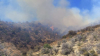 Anuncian evacuaciones por incendio forestal en el condado Cochise