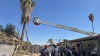 Rescatan a podador de árboles enredado de una enorme palmera; está en estado crítico