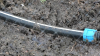 Recolección de agua pluvial, la nueva solución moderna en tiempos de sequía