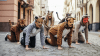 Los “therians”: la tendencia que se siente mitad humano, mitad animal