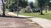 Muere mujer que fue atropellada en parque César Chávez de Laveen