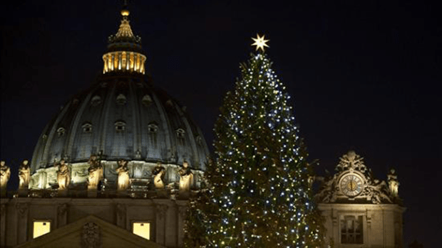 Video: El Vaticano ya tiene arbolito de Navidad