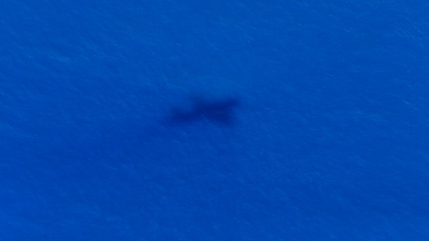 Video: Niegan que se haya encontrado el avión