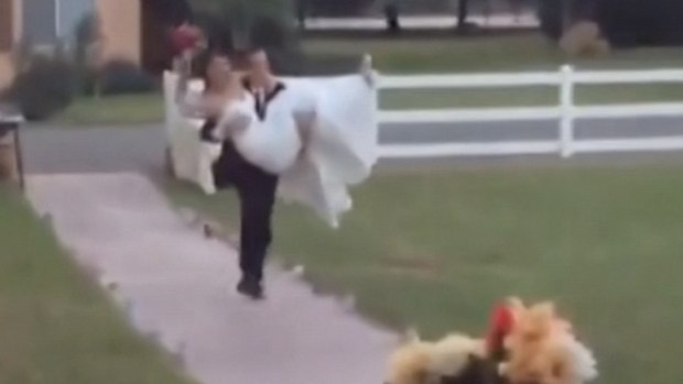 Video: La épica caída de unos recién casados
