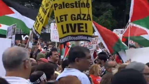 Video: Miles piden el fin de la guerra en Gaza
