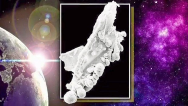 Video: ¿Será la prueba de vida extraterrestre?